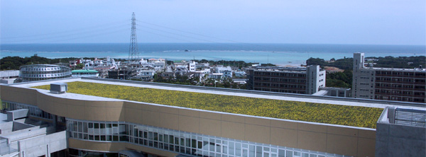 沖縄高専も海辺にあります。