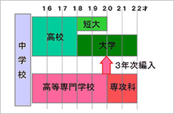 中学卒業後の進路