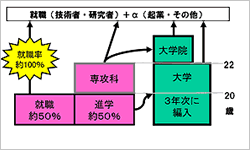 卒業後の進路